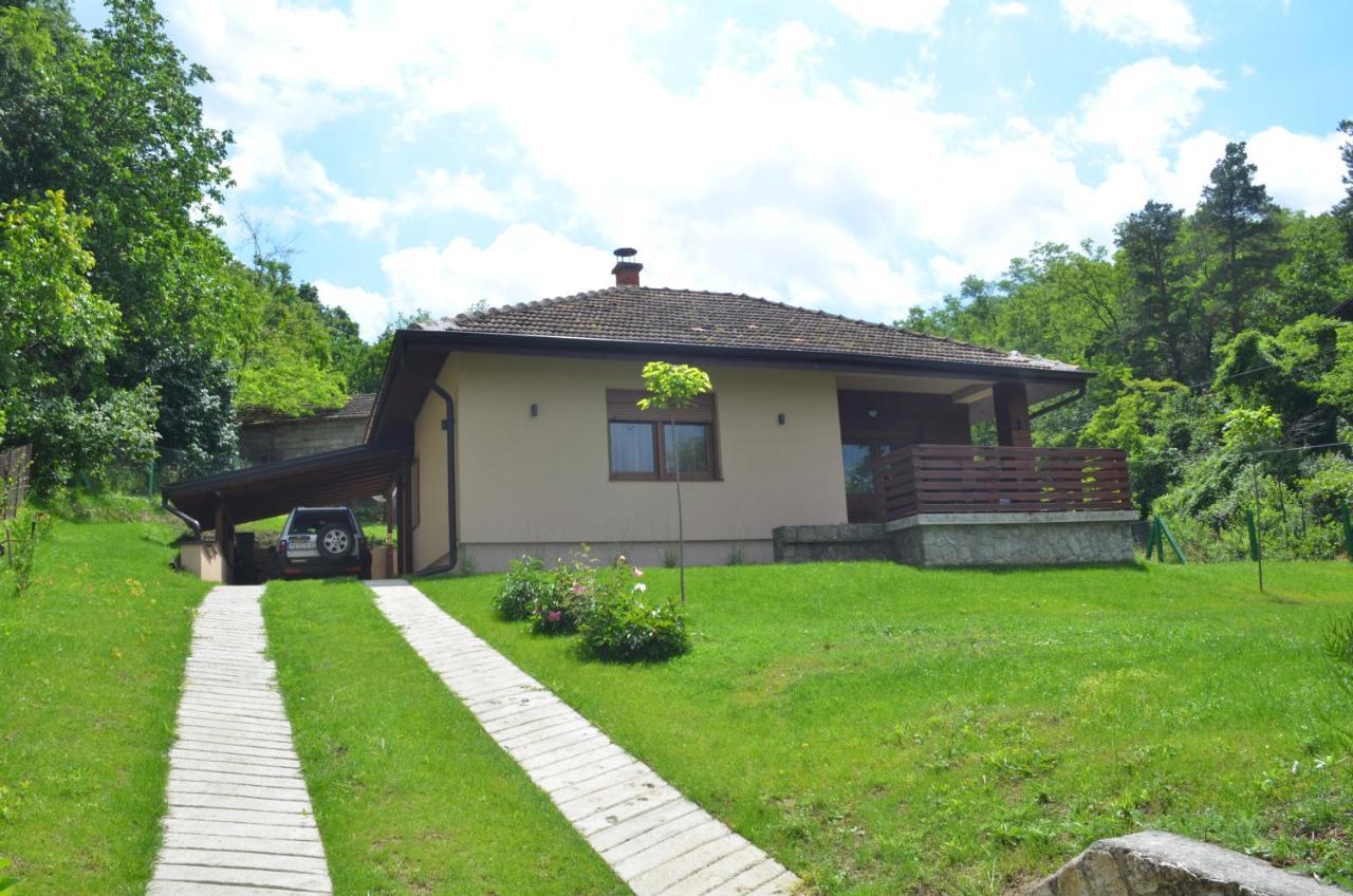 Villa Babakaj Golubac Exterior foto